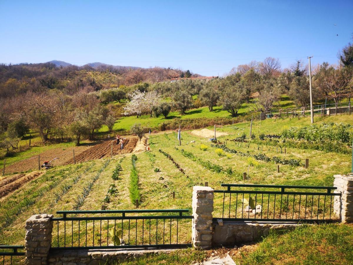 Agriturismo Olimpo Villa Santa Maria (Abruzzo) Exterior foto