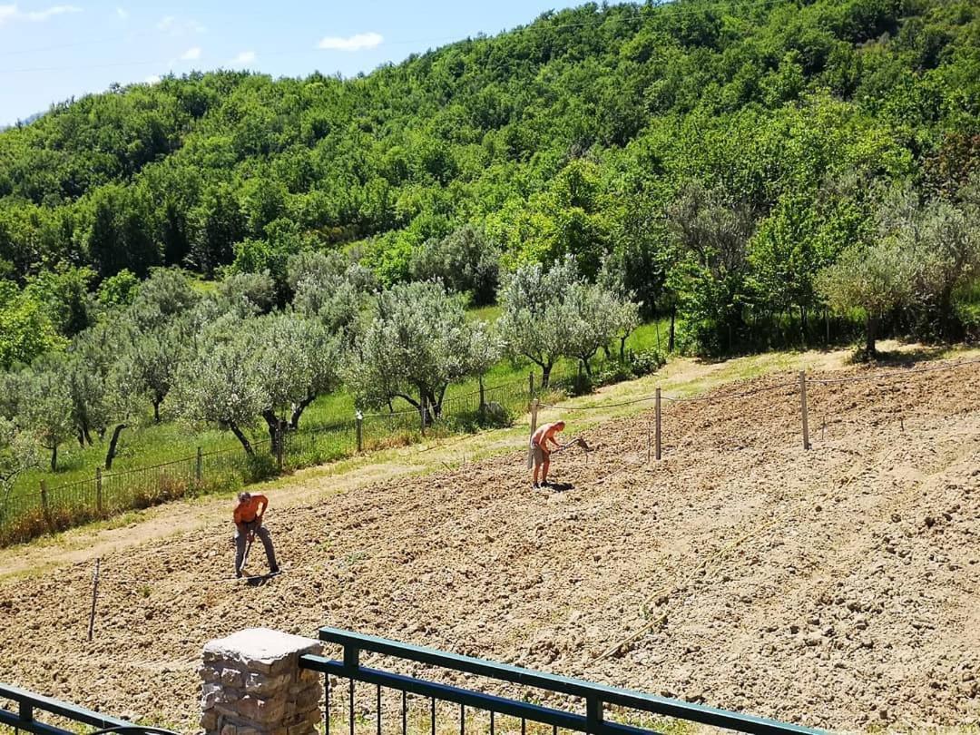 Agriturismo Olimpo Villa Santa Maria (Abruzzo) Exterior foto