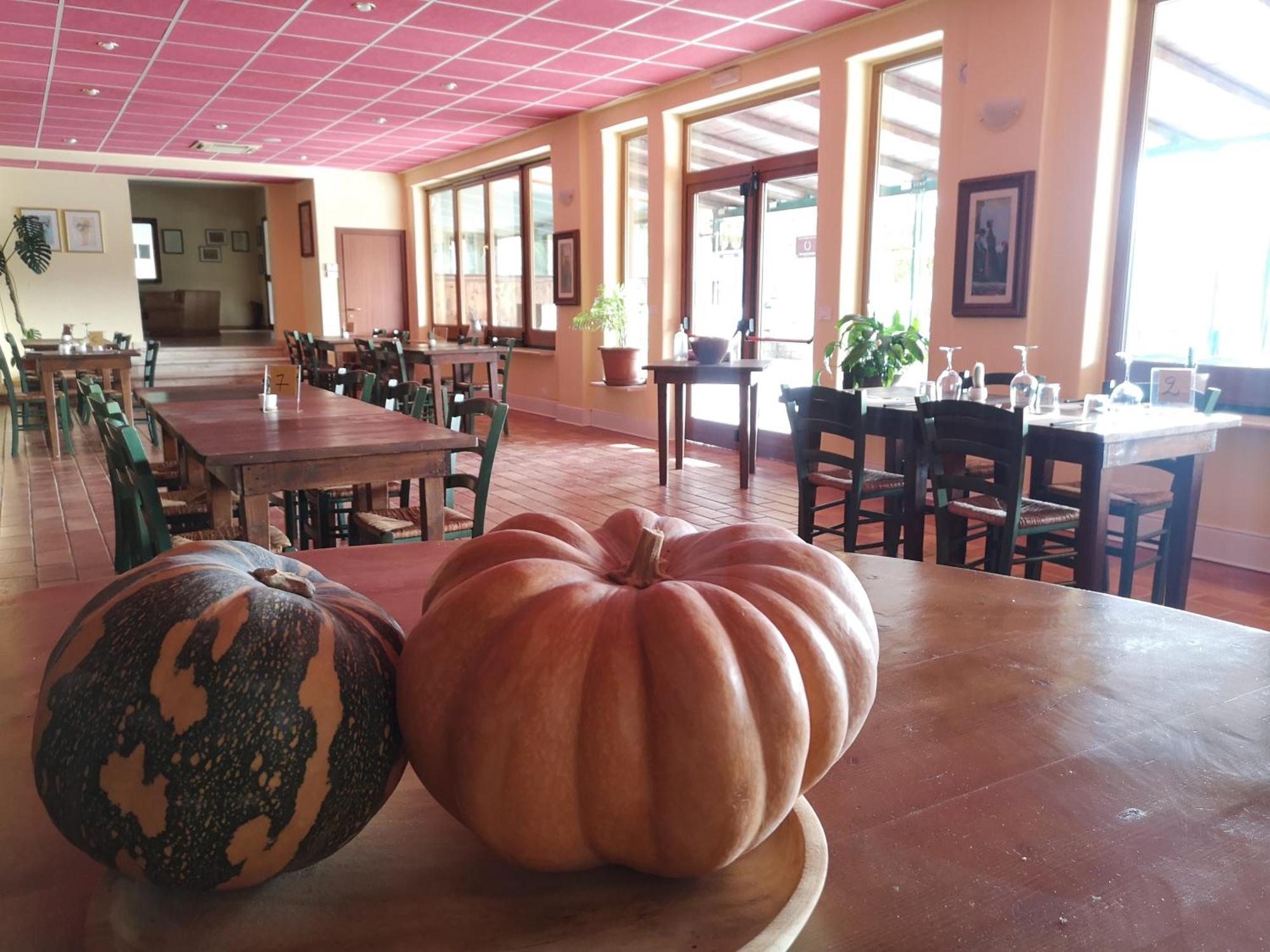Agriturismo Olimpo Villa Santa Maria (Abruzzo) Exterior foto